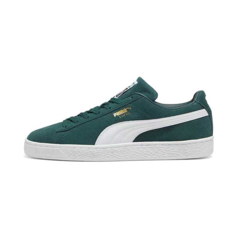 399781_15_sv01-PUMA-ACQUACOL