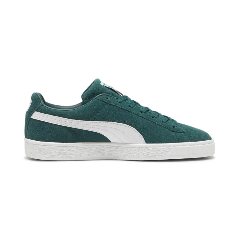 399781_15_sv03-PUMA-ACQUACOL