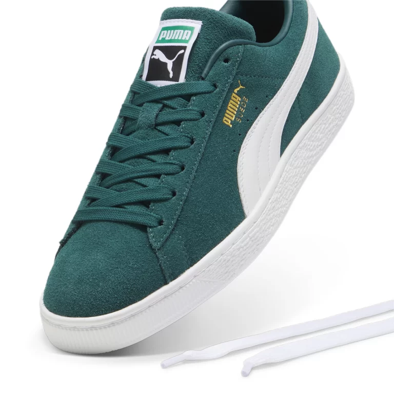 399781_15_sv04-PUMA-ACQUACOL