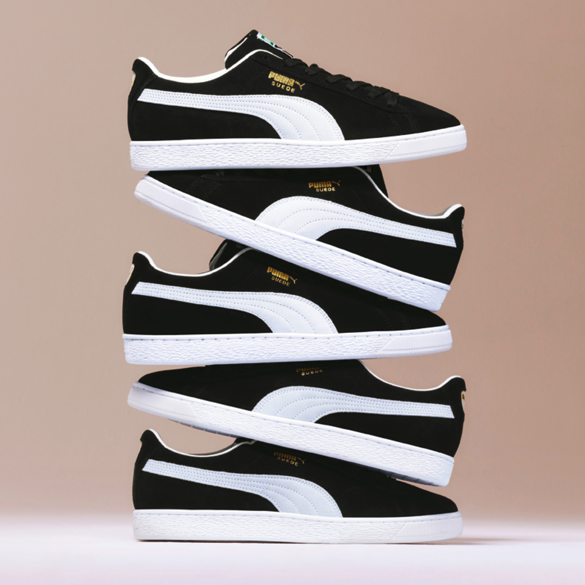 24SS In Store SP Suede Classic XXI Premium Large Window Hanging