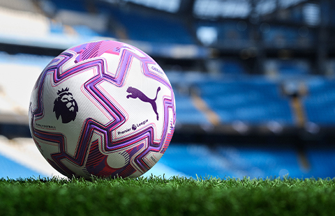 BALONES PUMA DE LA PREMIER LEAGUE 1